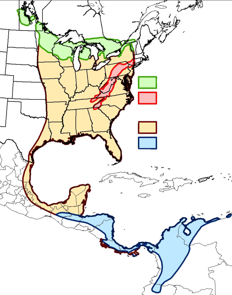 Full annual range for Golden-winged Warbler spanning from northern South America to Manitoba, east to Ontario and Vermont. The Appalachian population is highlighted in red, while the Great Lakes population is highlighted in green. The migratory range is highlighted in yellow and wintering range is highlighted in blue.