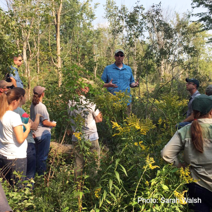 An expert named Andy teaches a team of attendees about Golden-winged Warbler habitat, Everyone is standing in wait-high vegetation. Photo Sarah Walsh.