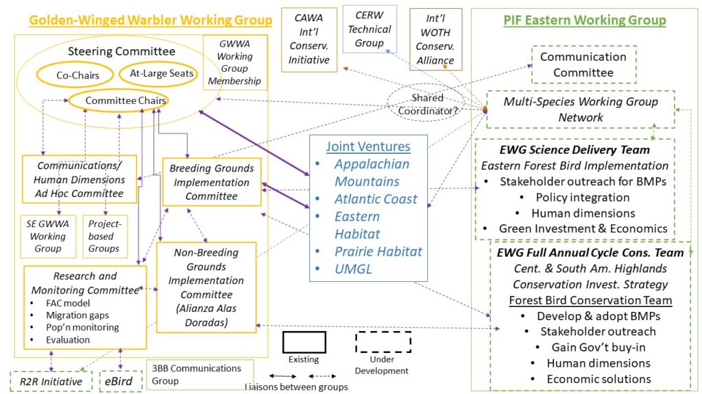 A complex diagram showing the planned structure for the Golden-winged Warbler Working Group